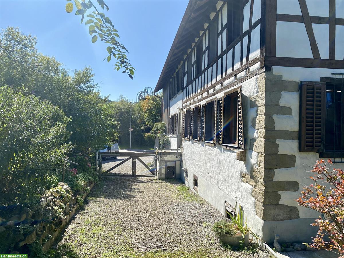 Bild 6: 4.5 Zimmer-Haushälfte mit Scheune in Elsau ZH