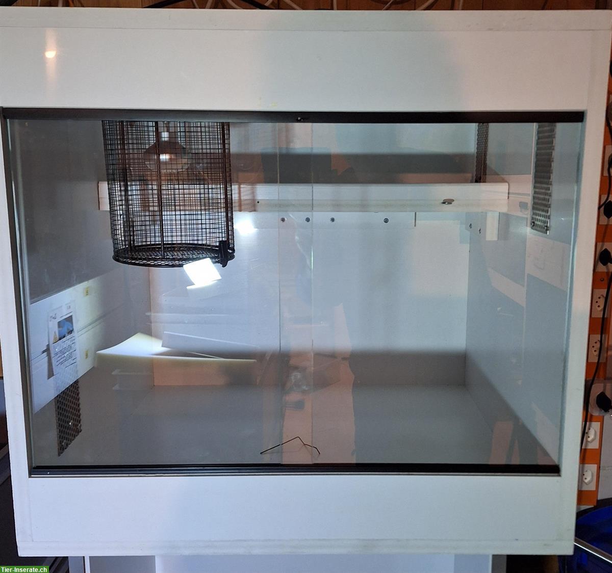 Forex Terrarium, 19mm, mit Spotlampe & LED