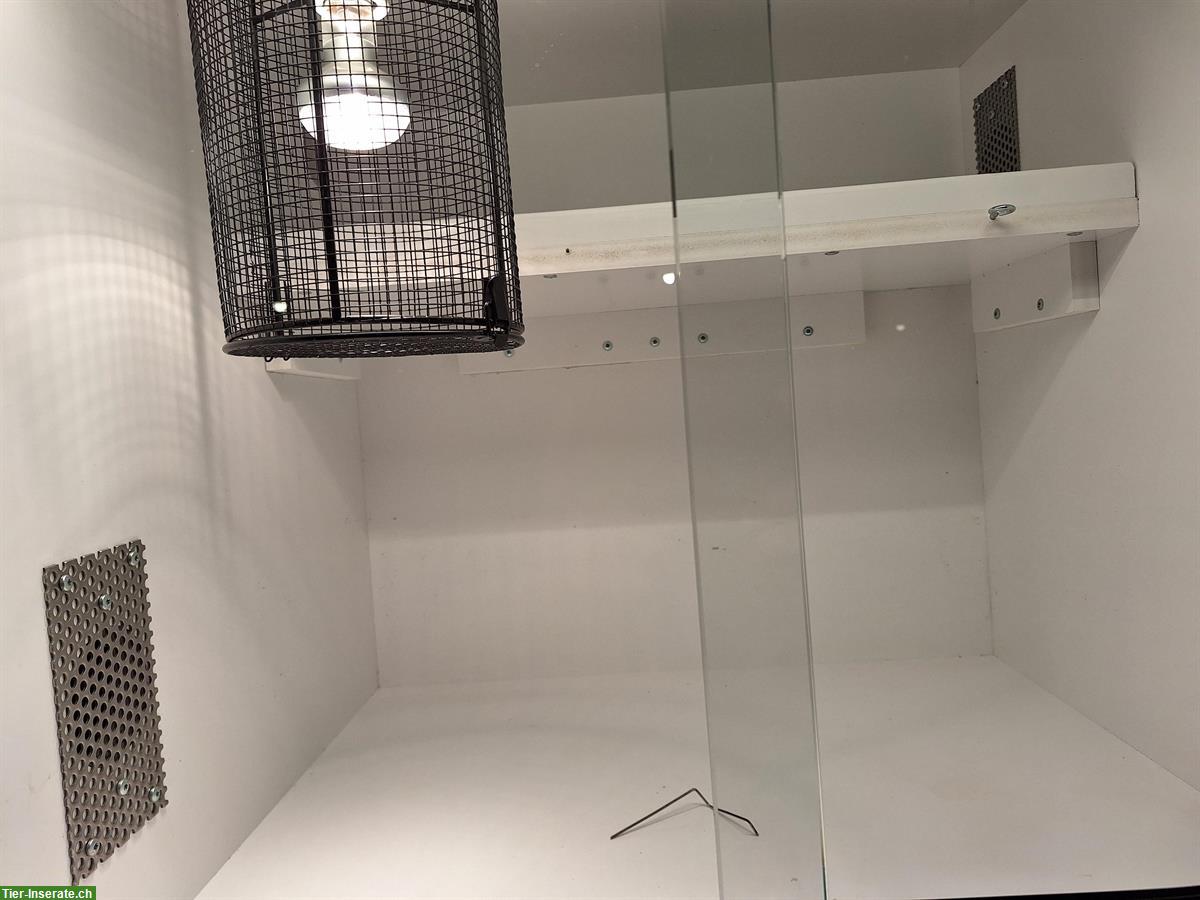 Bild 2: Forex Terrarium, 19mm, mit Spotlampe & LED