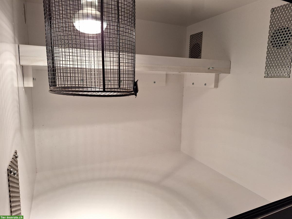 Bild 3: Forex Terrarium, 19mm, mit Spotlampe & LED