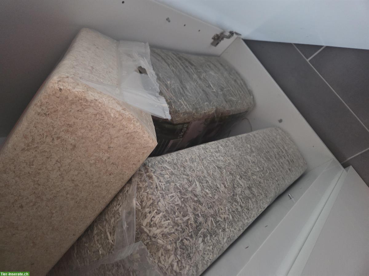 Bild 3: 2 Rennmäuse, schwarz, mit Käfig und Zubehör