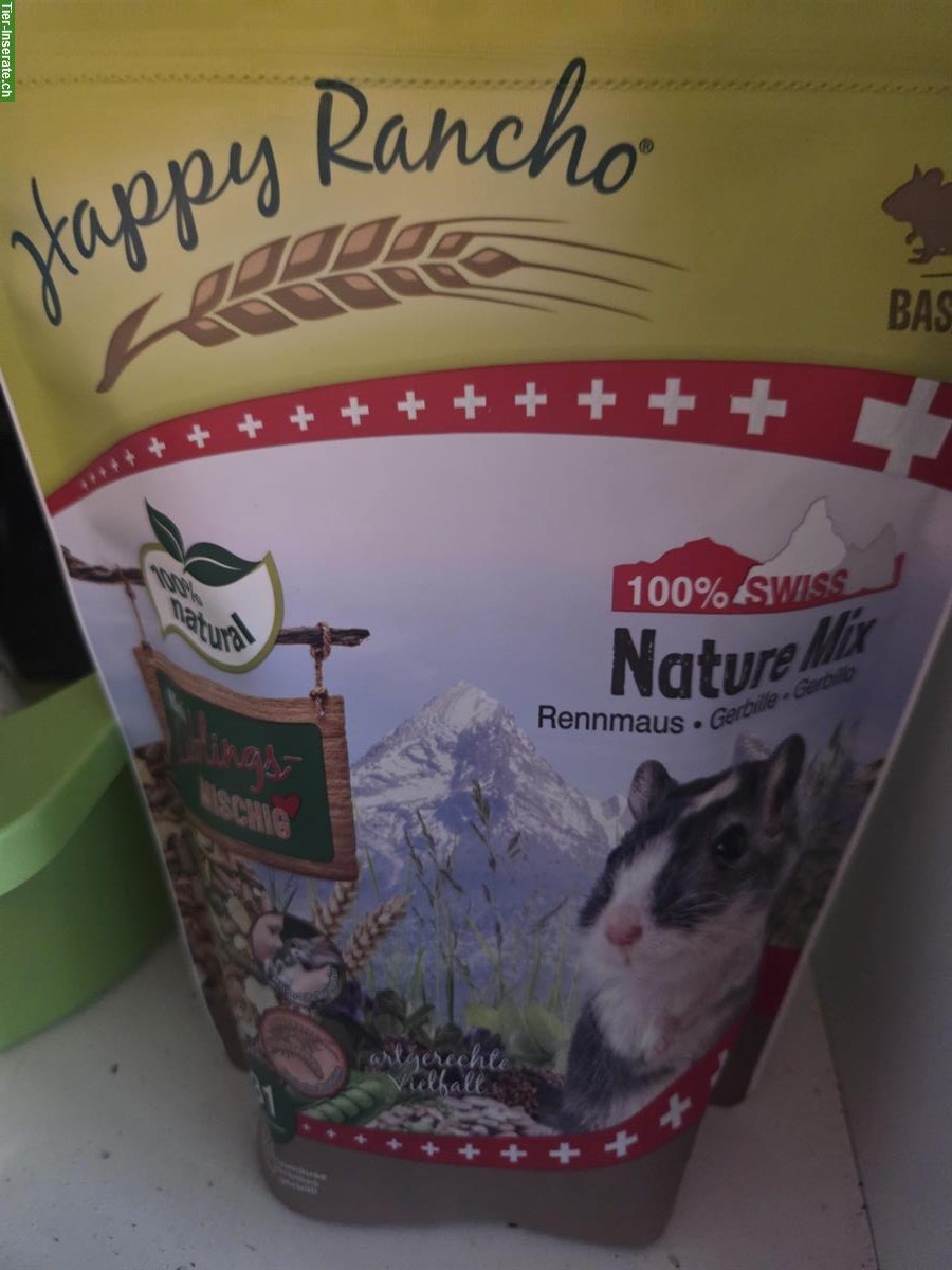 Bild 5: 2 Rennmäuse, schwarz, mit Käfig und Zubehör