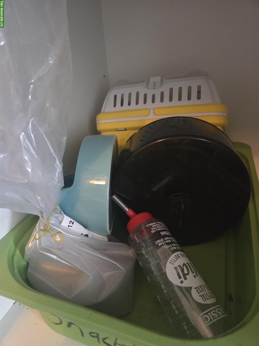 Bild 6: 2 Rennmäuse, schwarz, mit Käfig und Zubehör