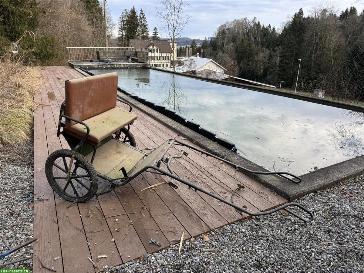 Bild 3: Diverses Pferdezubehör gratis abzugeben