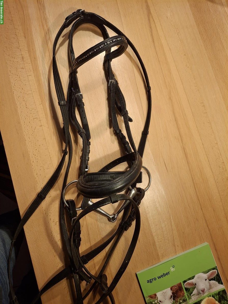 Zaum Gr. WB, schwarz, mit Wassertrense, wenig gebraucht