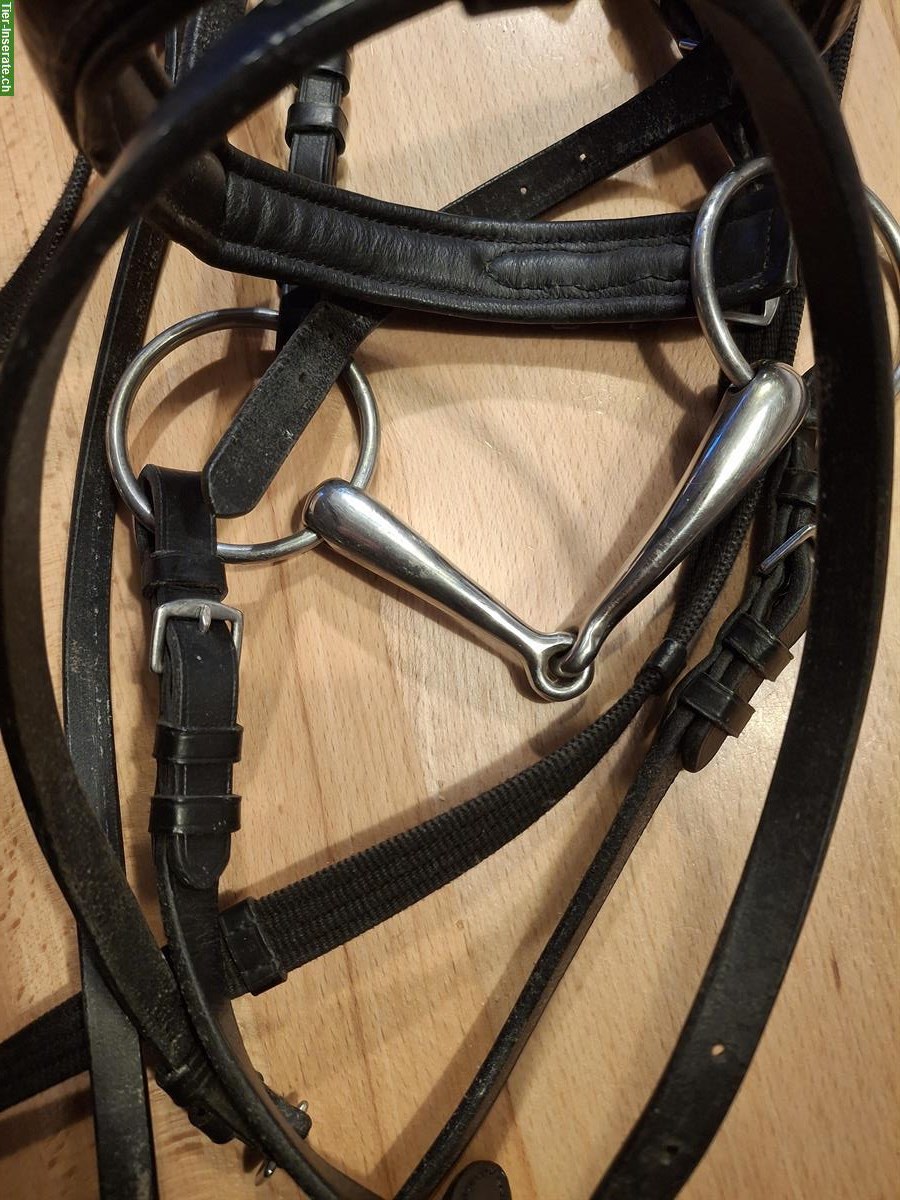 Bild 2: Zaum Gr. WB, schwarz, mit Wassertrense, wenig gebraucht