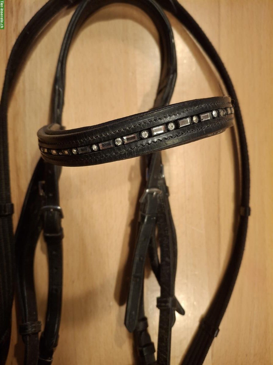 Bild 3: Zaum Gr. WB, schwarz, mit Wassertrense, wenig gebraucht