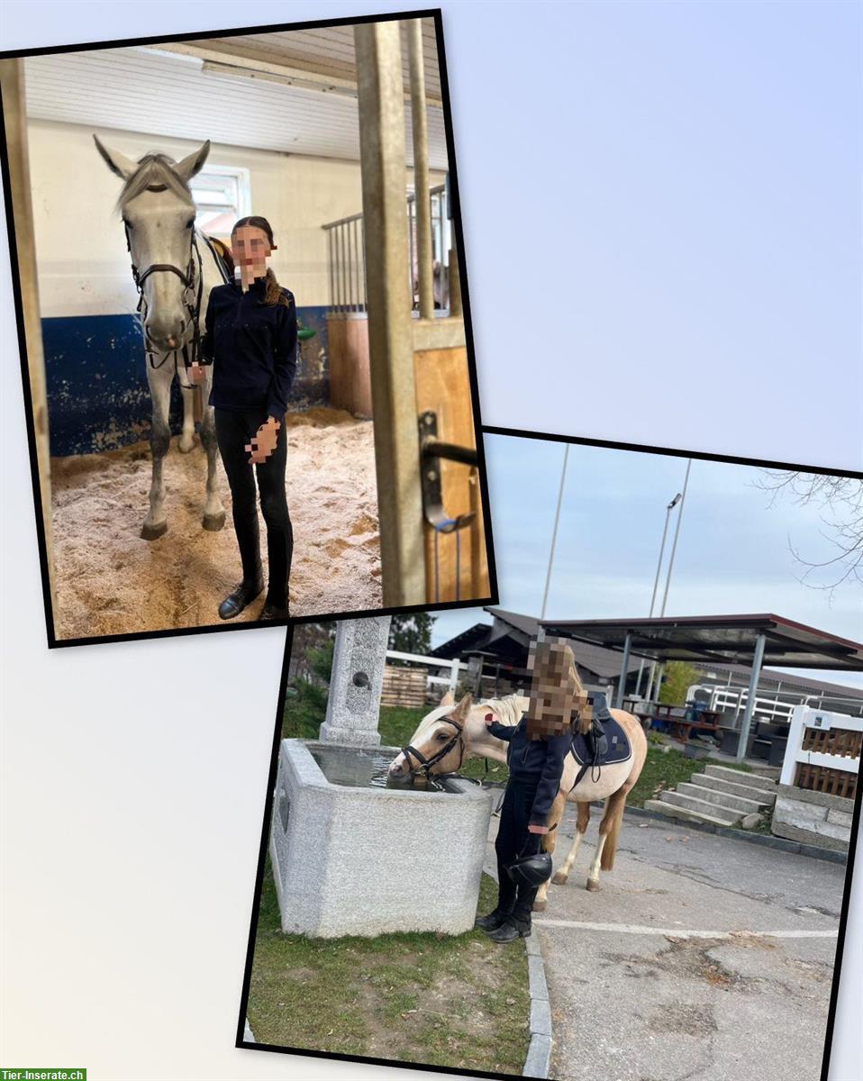 Hannah & Victoria suchen eine Reitbeteiligung, Nähe Zürich