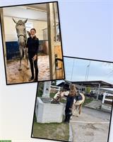 Hannah & Victoria suchen eine Reitbeteiligung, Nähe Zürich