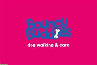 Teilzeitjob: 🐾 Dog Walking & Hundehortbetreuung