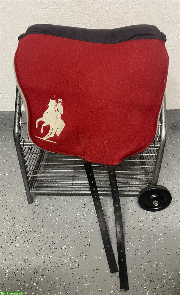 Bild 3: Isabel Steiner Filzsattel günstig zu verkaufen