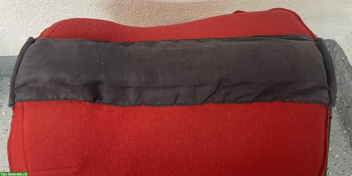 Bild 4: Isabel Steiner Filzsattel günstig zu verkaufen