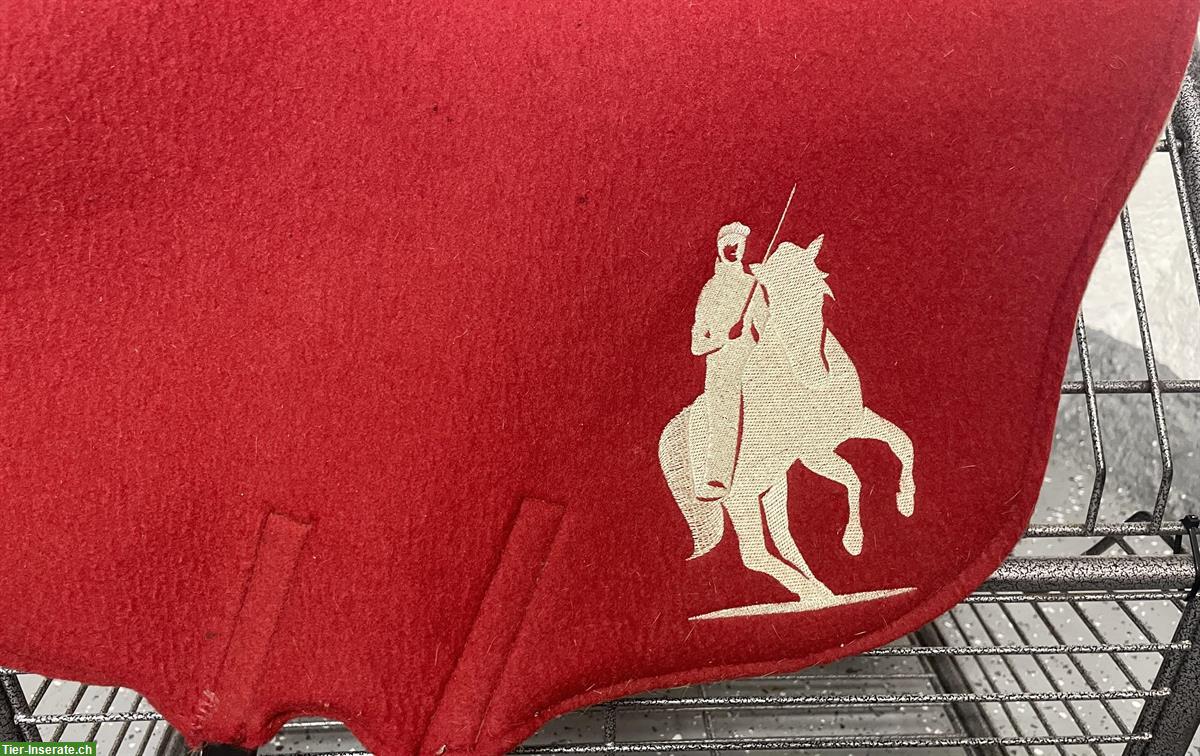 Bild 5: Isabel Steiner Filzsattel günstig zu verkaufen