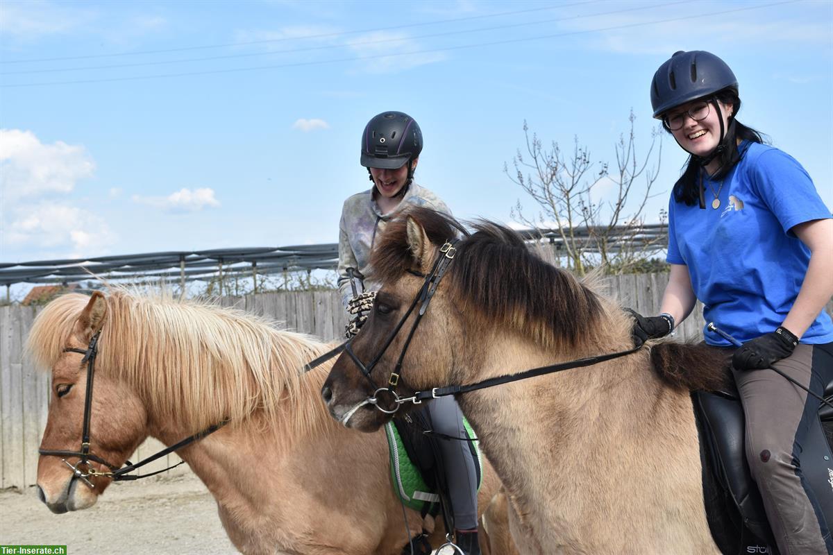 Bodenarbeitskurs am 14.-15. Februar für Anfänger & Fortgeschrittene