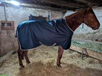 Horseware Outdoordecke Fleece Lined 50g + Liner 200g, 145cm