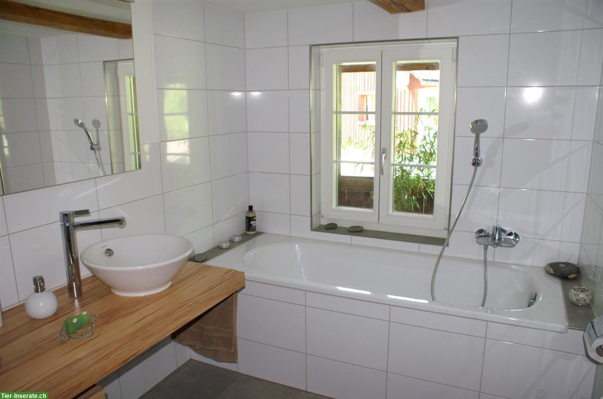 Bild 3: Verkauf: Bauernhaus ideal für hobbymässige Pferdehaltung