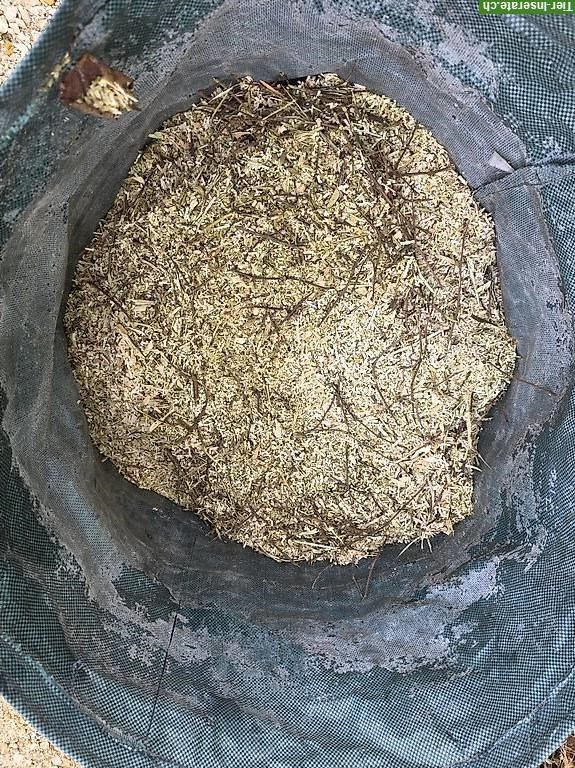 Holzhäcksel für Tiere oder Garten