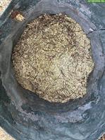 Holzhäcksel für Tiere oder Garten