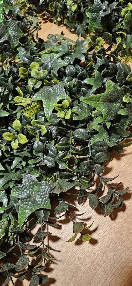 Terrarium Kunstpflanzen-Matten zu verkaufen