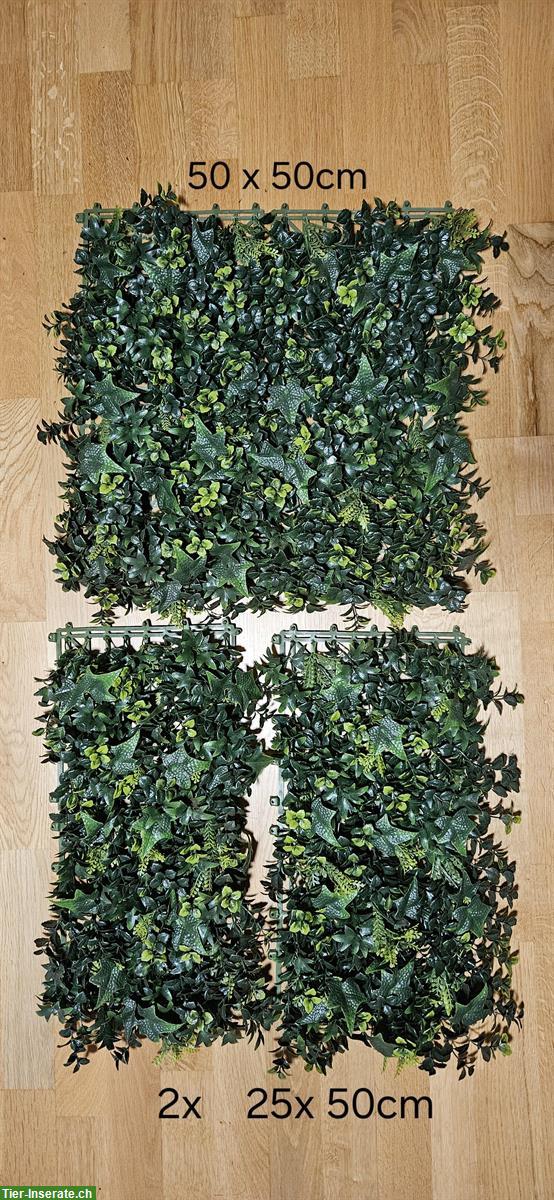 Bild 2: Terrarium Kunstpflanzen-Matten zu verkaufen