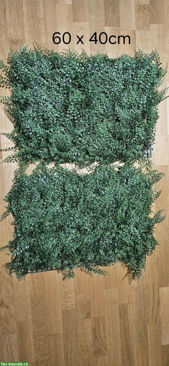 Bild 3: Terrarium Kunstpflanzen-Matten zu verkaufen
