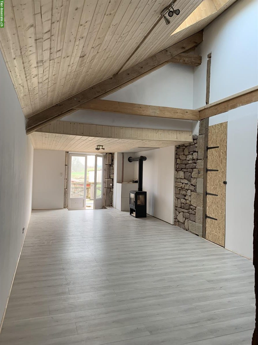 Bild 4: 3½ Zimmer Wohnung auf Pferdehof zwischen Jura und Elsass