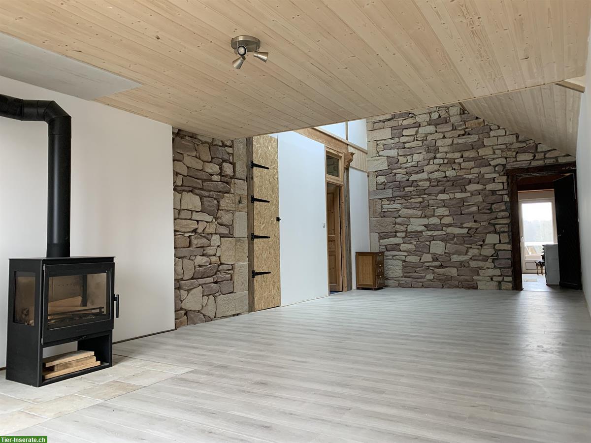 Bild 5: 3½ Zimmer Wohnung auf Pferdehof zwischen Jura und Elsass