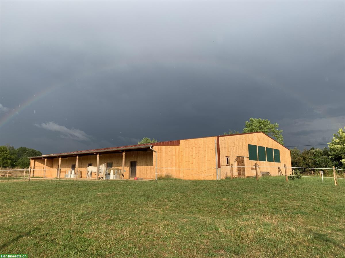 Bild 8: 3½ Zimmer Wohnung auf Pferdehof zwischen Jura und Elsass