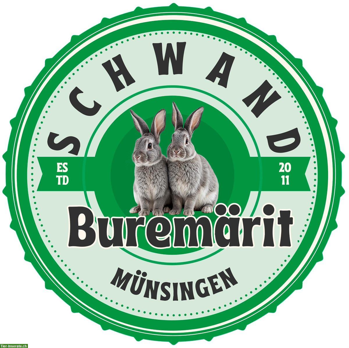 Buremärit Münsingen 2026: Jungtiere verkaufen