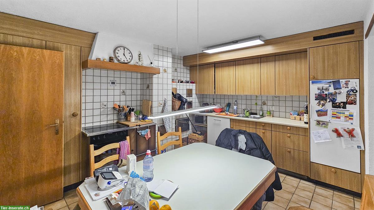 Bild 10: Zweifamilien-Bauernhaus mit Pferdestallungen und Weideland