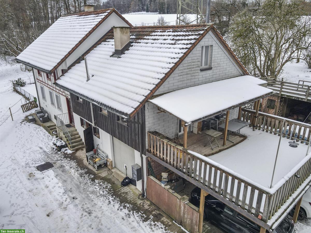 Bild 2: Zweifamilien-Bauernhaus mit Pferdestallungen und Weideland