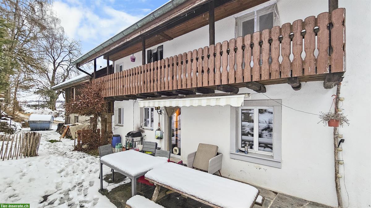 Bild 3: Zweifamilien-Bauernhaus mit Pferdestallungen und Weideland