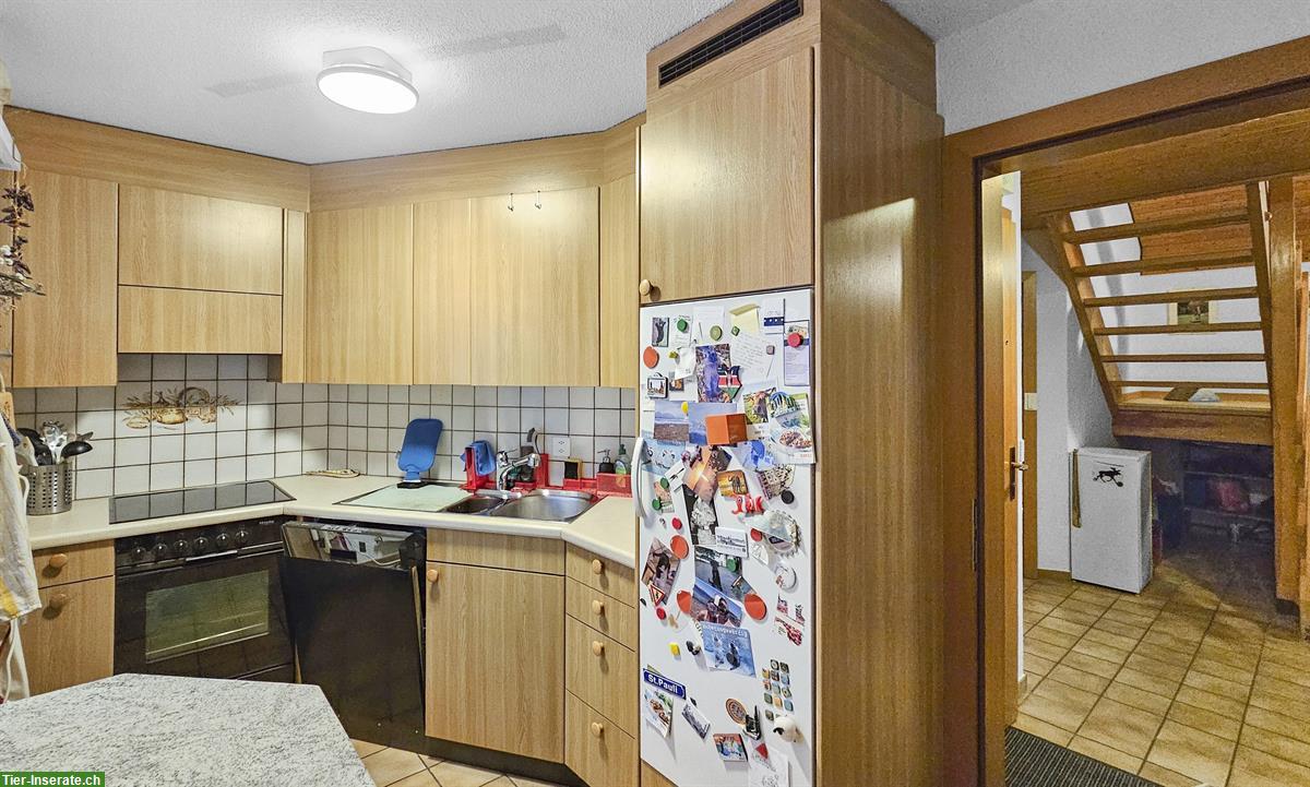 Bild 6: Zweifamilien-Bauernhaus mit Pferdestallungen und Weideland