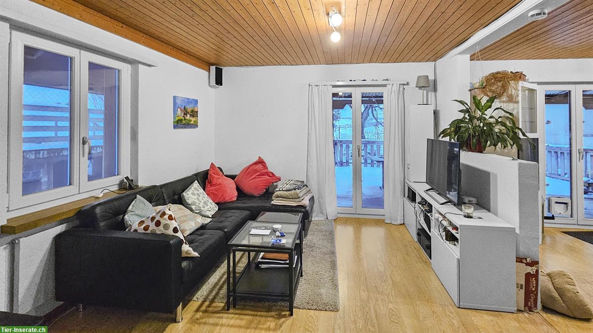 Bild 7: Zweifamilien-Bauernhaus mit Pferdestallungen und Weideland