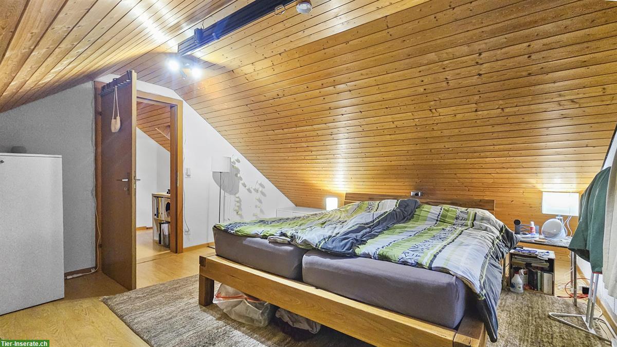 Bild 8: Zweifamilien-Bauernhaus mit Pferdestallungen und Weideland