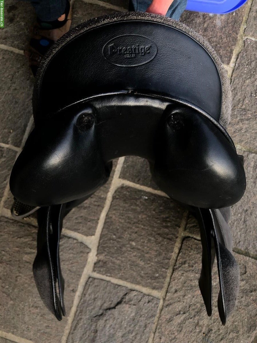 Bild 7: Pony Happy Springsattel von Prestige