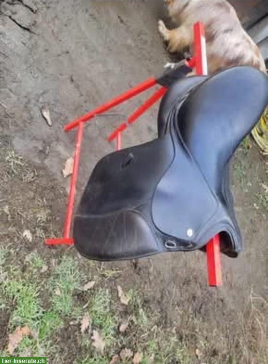 Bild 3: Euroriding Opal VS Sattel, wenig Widerrist