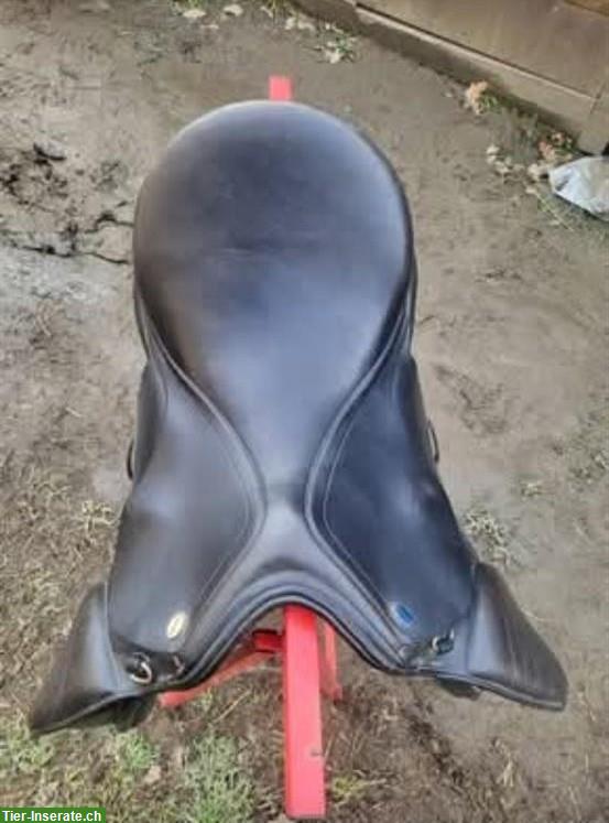 Bild 4: Euroriding Opal VS Sattel, wenig Widerrist