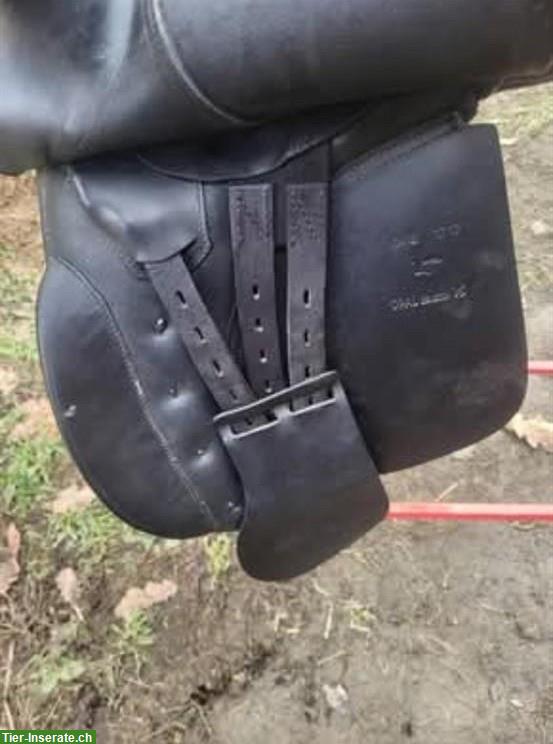 Bild 5: Euroriding Opal VS Sattel, wenig Widerrist