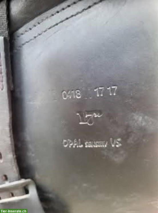 Bild 6: Euroriding Opal VS Sattel, wenig Widerrist