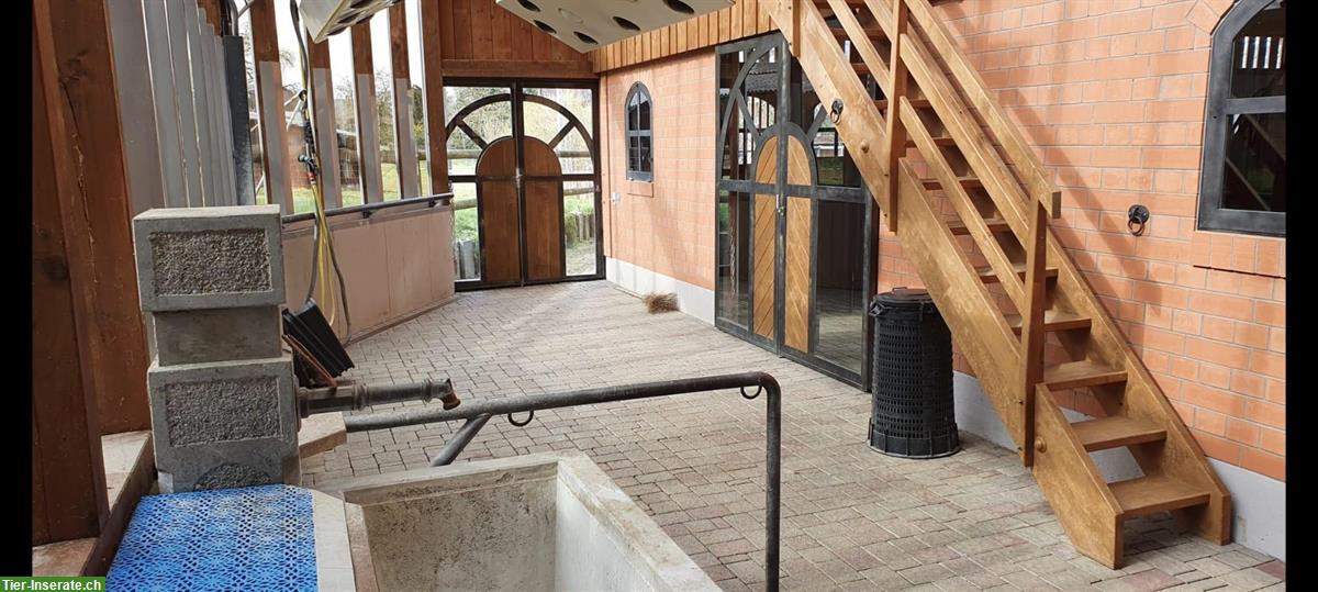 Bild 6: Privatstall für Selbstversorger mit 3 Pferdeboxen, Pfaffnau LU