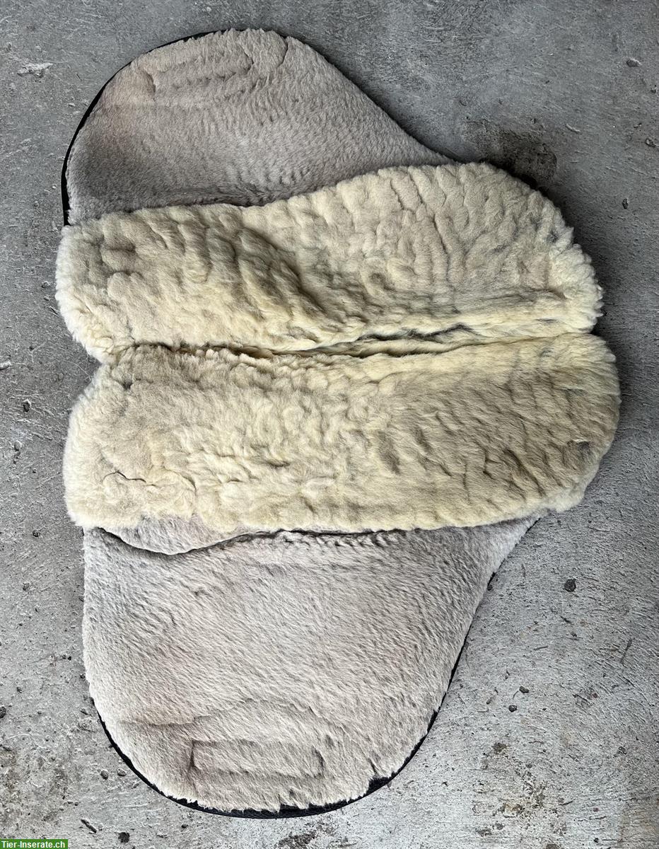 Bild 6: Ghost Sattel Piccolo (baumlos) zu verkaufen