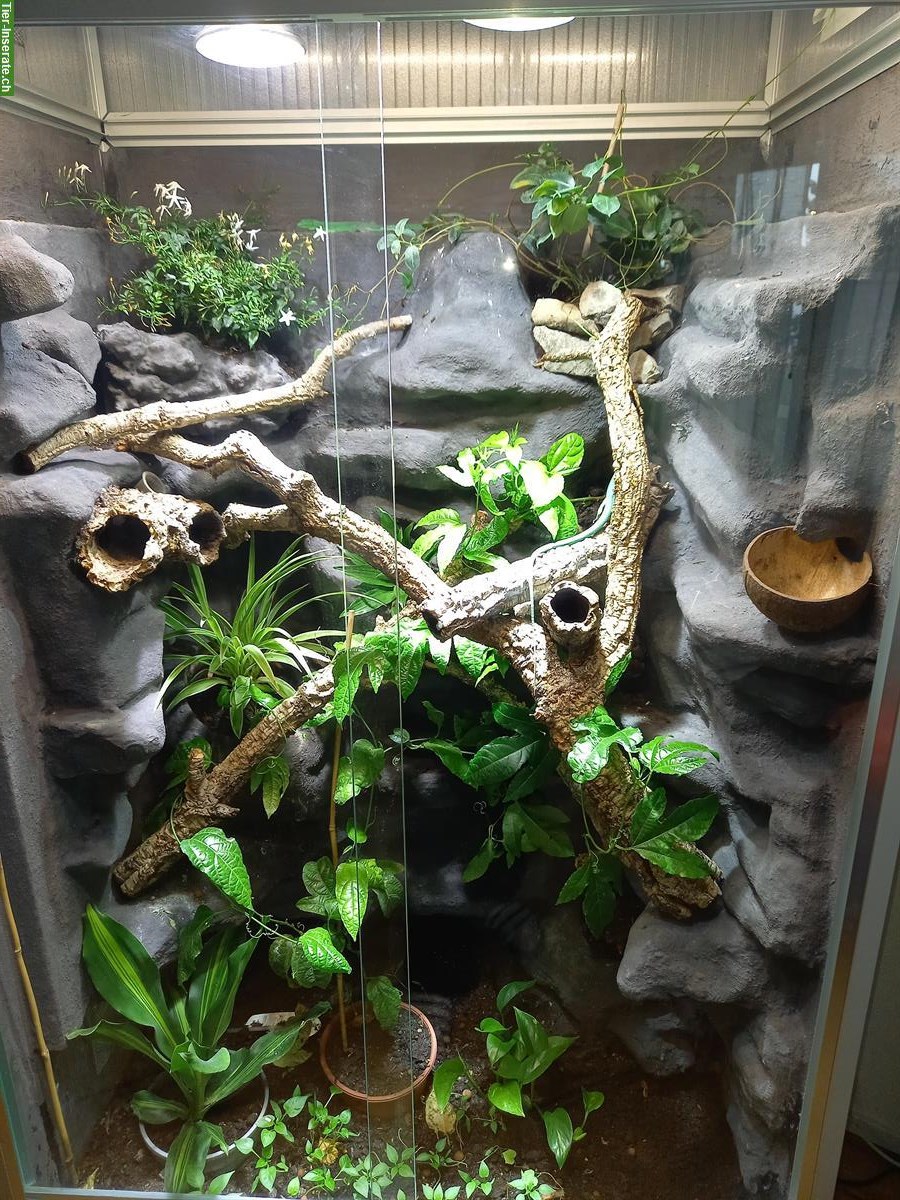 Alusteck Terrarium 100x70x190cm