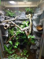 Alusteck Terrarium 100x70x190cm