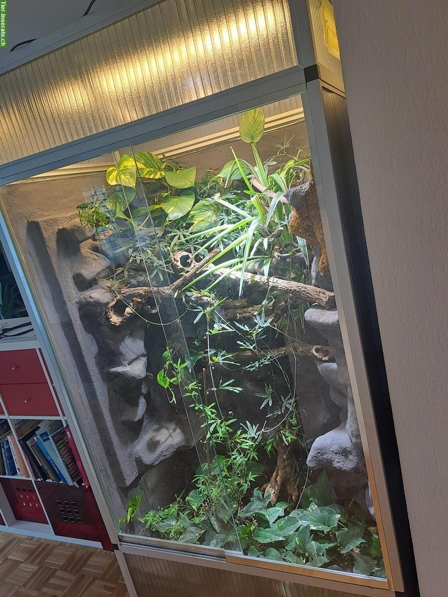 Bild 2: Alusteck Terrarium 100x70x190cm