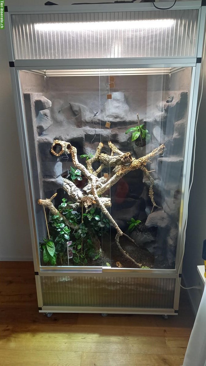Bild 3: Alusteck Terrarium 100x70x190cm