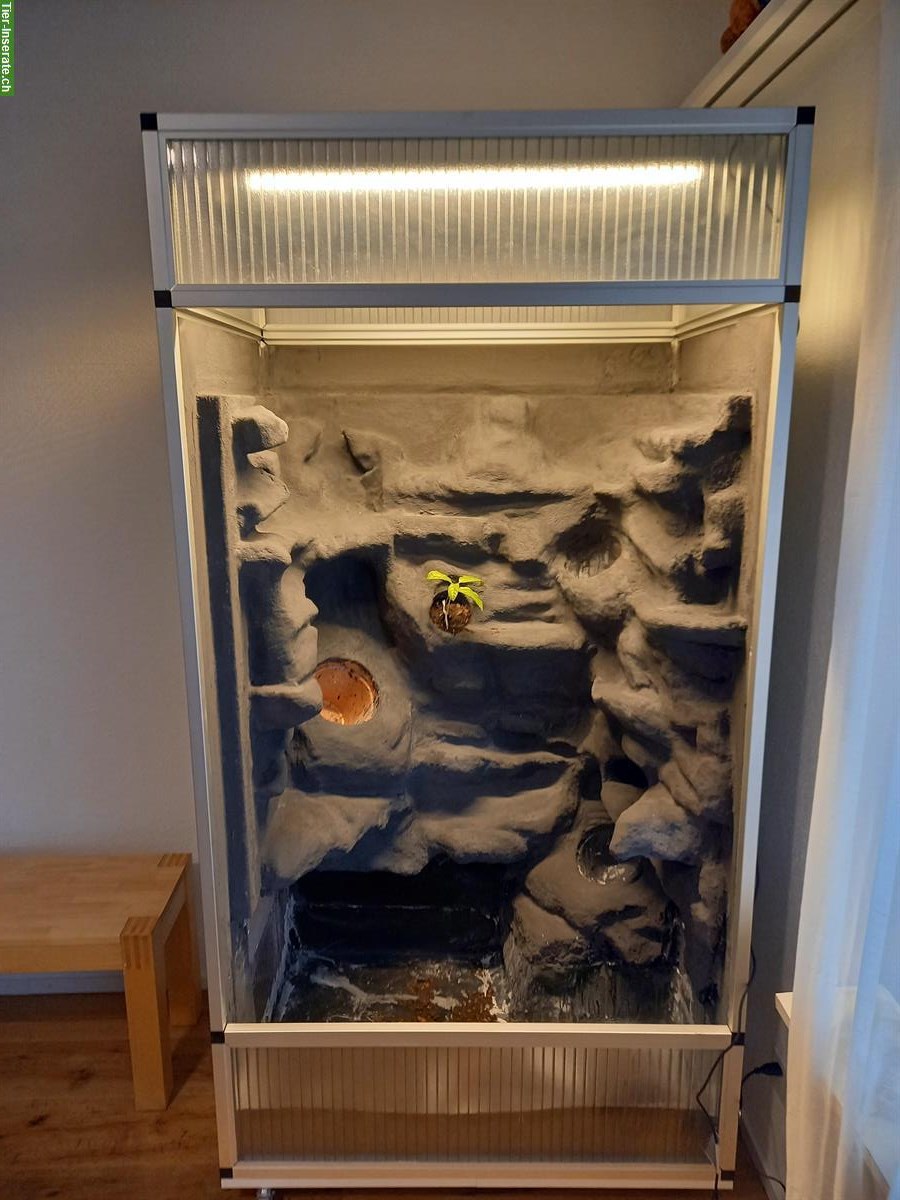 Bild 4: Alusteck Terrarium 100x70x190cm