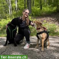 Wohnung oder Haus mit Garten gesucht