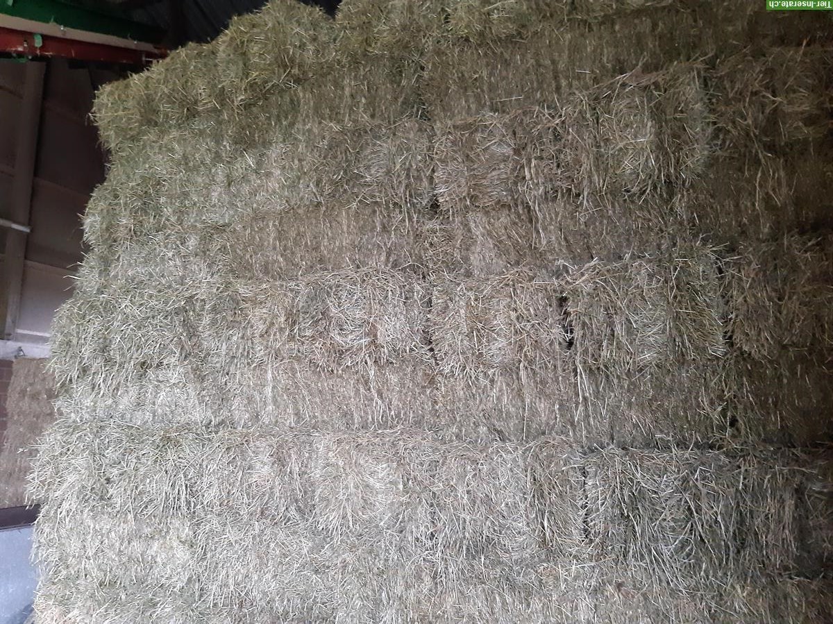 Belüftetes Pferdeheu in Kleinballen, Top Qualität!