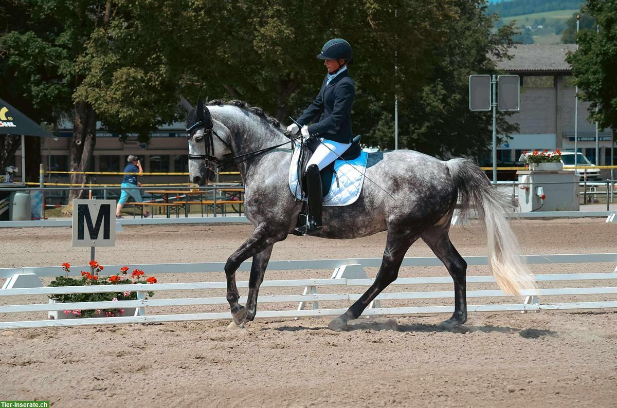 Tierfotografie mit Herz, Mensch & Tier im Fokus
